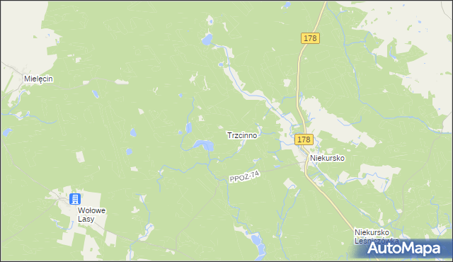 mapa Trzcinno gmina Człopa, Trzcinno gmina Człopa na mapie Targeo