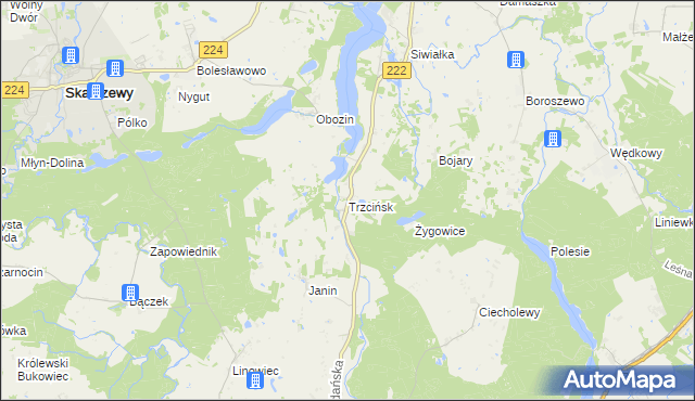 mapa Trzcińsk, Trzcińsk na mapie Targeo