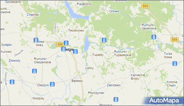 mapa Tupadły gmina Wielgie, Tupadły gmina Wielgie na mapie Targeo