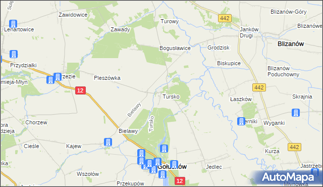 mapa Tursko gmina Gołuchów, Tursko gmina Gołuchów na mapie Targeo