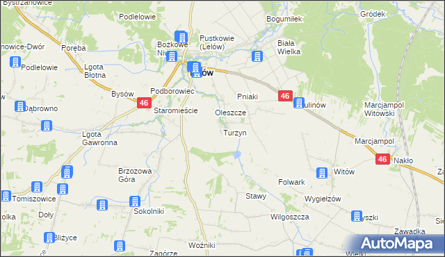 mapa Turzyn gmina Lelów, Turzyn gmina Lelów na mapie Targeo