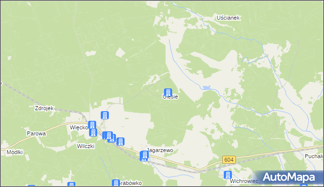 mapa Ulesie gmina Janowo, Ulesie gmina Janowo na mapie Targeo
