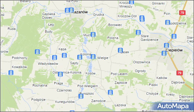mapa Wielgie gmina Ciepielów, Wielgie gmina Ciepielów na mapie Targeo