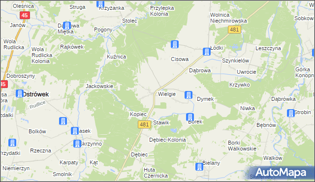 mapa Wielgie gmina Ostrówek, Wielgie gmina Ostrówek na mapie Targeo