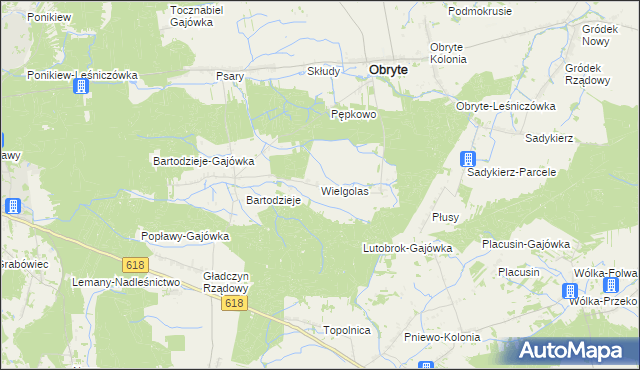 mapa Wielgolas gmina Obryte, Wielgolas gmina Obryte na mapie Targeo