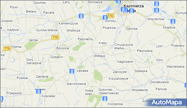 mapa Wielgus, Wielgus na mapie Targeo