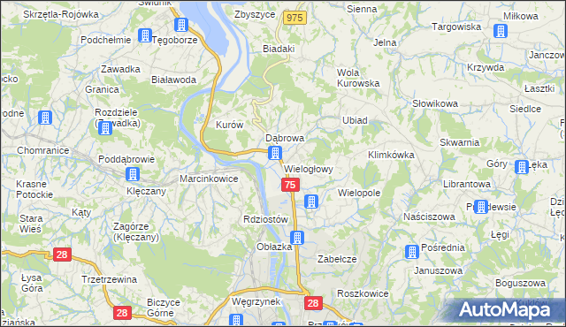 mapa Wielogłowy gmina Chełmiec, Wielogłowy gmina Chełmiec na mapie Targeo