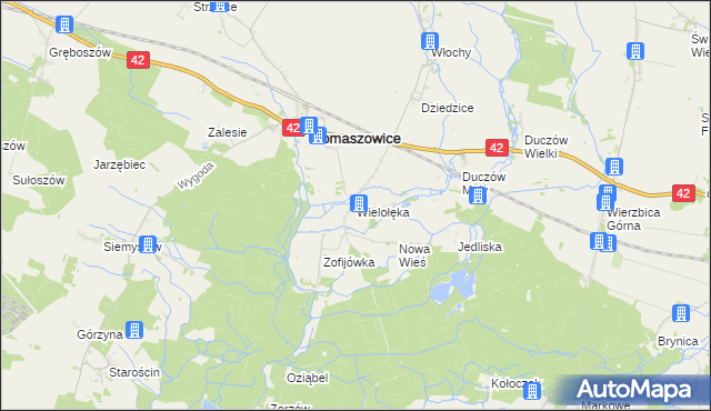 mapa Wielołęka gmina Domaszowice, Wielołęka gmina Domaszowice na mapie Targeo