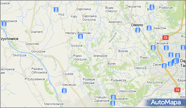 mapa Wielopole gmina Olesno, Wielopole gmina Olesno na mapie Targeo