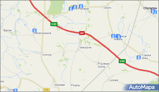 mapa Wierzbnik gmina Grodków, Wierzbnik gmina Grodków na mapie Targeo
