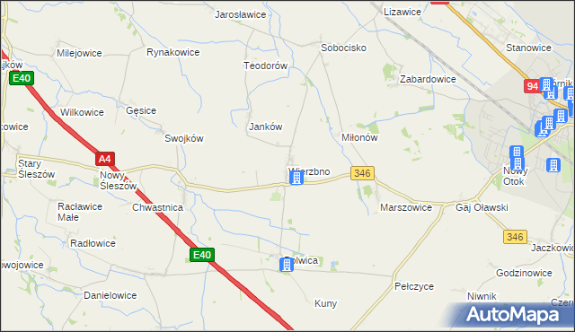 mapa Wierzbno gmina Domaniów, Wierzbno gmina Domaniów na mapie Targeo
