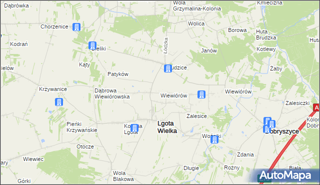 mapa Wiewiórów gmina Lgota Wielka, Wiewiórów gmina Lgota Wielka na mapie Targeo