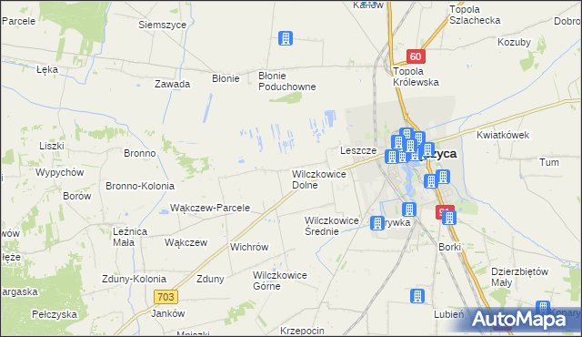 mapa Wilczkowice Dolne gmina Łęczyca, Wilczkowice Dolne gmina Łęczyca na mapie Targeo