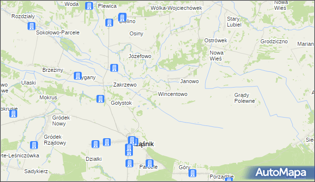 mapa Wincentowo gmina Rząśnik, Wincentowo gmina Rząśnik na mapie Targeo