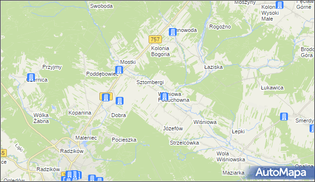 mapa Wiśniowa Poduchowna, Wiśniowa Poduchowna na mapie Targeo