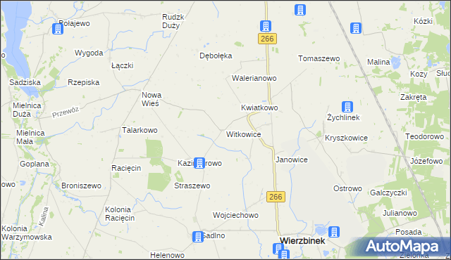 mapa Witkowice gmina Wierzbinek, Witkowice gmina Wierzbinek na mapie Targeo