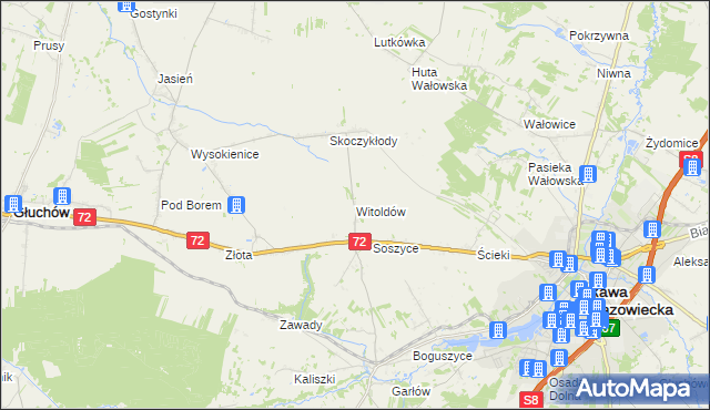 mapa Witoldów gmina Głuchów, Witoldów gmina Głuchów na mapie Targeo
