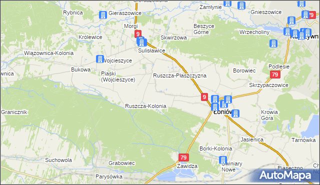 mapa Wnorów, Wnorów na mapie Targeo