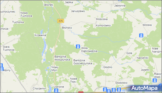 mapa Wola Dąbrowiecka, Wola Dąbrowiecka na mapie Targeo