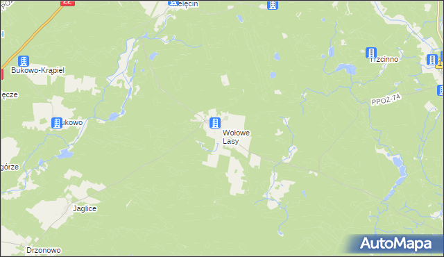 mapa Wołowe Lasy, Wołowe Lasy na mapie Targeo