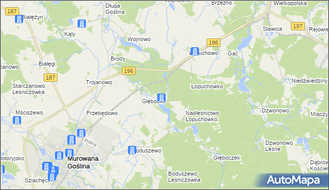 mapa Worowo gmina Murowana Goślina, Worowo gmina Murowana Goślina na mapie Targeo