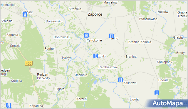 mapa Woźniki gmina Zapolice, Woźniki gmina Zapolice na mapie Targeo