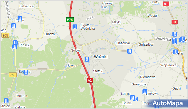 mapa Woźniki powiat lubliniecki, Woźniki powiat lubliniecki na mapie Targeo