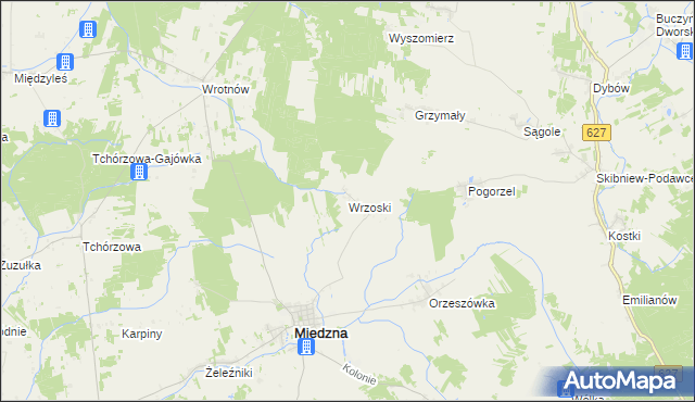 mapa Wrzoski gmina Miedzna, Wrzoski gmina Miedzna na mapie Targeo