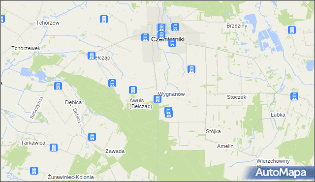 mapa Wygnanów gmina Czemierniki, Wygnanów gmina Czemierniki na mapie Targeo