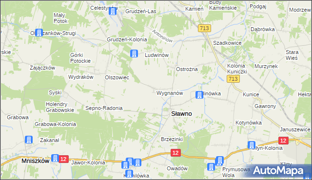 mapa Wygnanów gmina Sławno, Wygnanów gmina Sławno na mapie Targeo