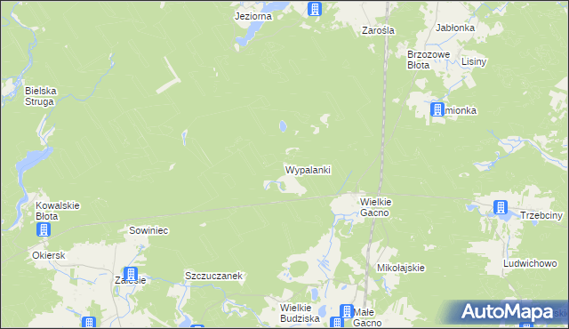 mapa Wypalanki gmina Śliwice, Wypalanki gmina Śliwice na mapie Targeo