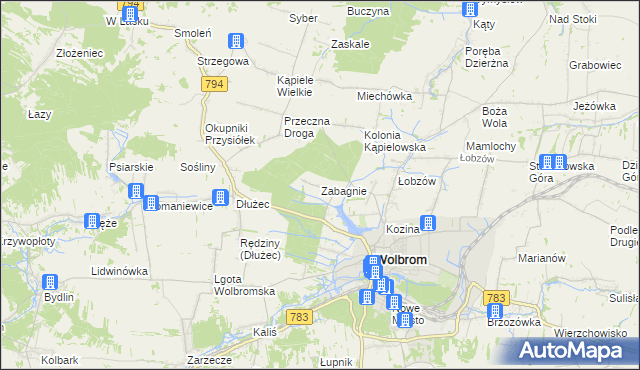 mapa Zabagnie gmina Wolbrom, Zabagnie gmina Wolbrom na mapie Targeo