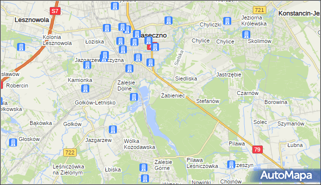 mapa Żabieniec gmina Piaseczno, Żabieniec gmina Piaseczno na mapie Targeo