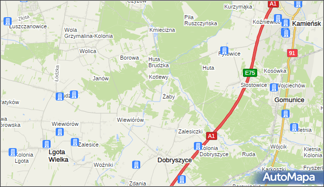 mapa Żaby gmina Dobryszyce, Żaby gmina Dobryszyce na mapie Targeo