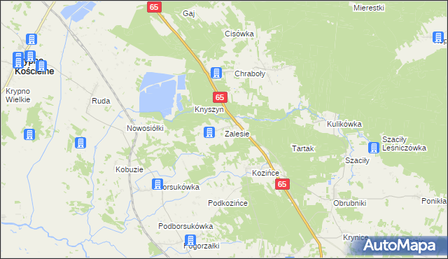 mapa Zalesie gmina Dobrzyniewo Duże, Zalesie gmina Dobrzyniewo Duże na mapie Targeo