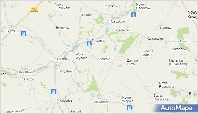 mapa Zalesie gmina Skierniewice, Zalesie gmina Skierniewice na mapie Targeo