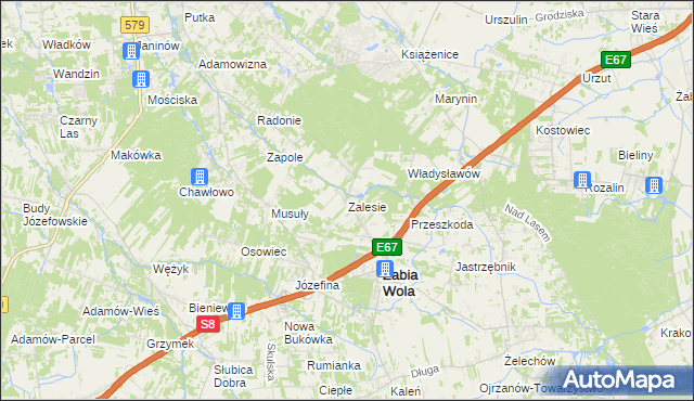 mapa Zalesie gmina Żabia Wola, Zalesie gmina Żabia Wola na mapie Targeo