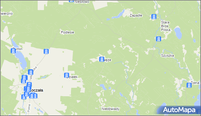 mapa Załęże gmina Koczała, Załęże gmina Koczała na mapie Targeo