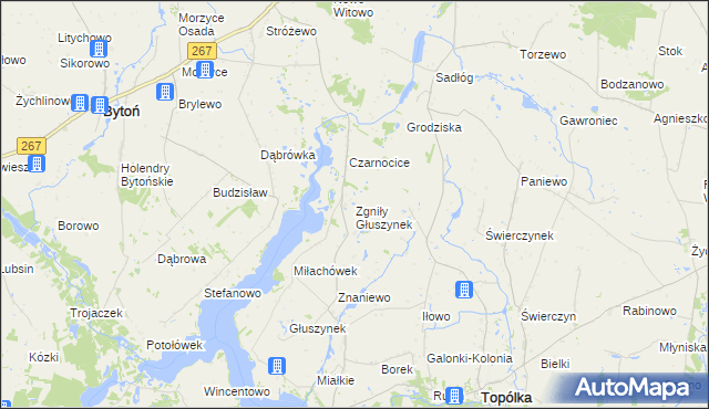 mapa Zgniły Głuszynek, Zgniły Głuszynek na mapie Targeo