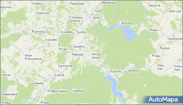 mapa Wilcza Wola gmina Dzikowiec, Wilcza Wola gmina Dzikowiec na mapie Targeo