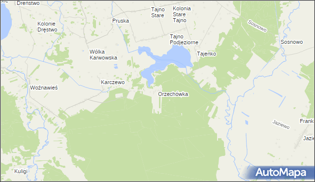 mapa Orzechówka gmina Rajgród, Orzechówka gmina Rajgród na mapie Targeo