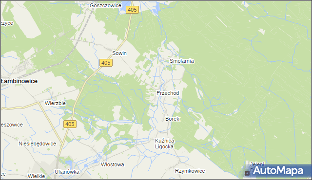 mapa Przechód gmina Korfantów, Przechód gmina Korfantów na mapie Targeo