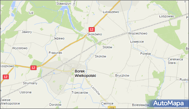 mapa Skoków gmina Borek Wielkopolski, Skoków gmina Borek Wielkopolski na mapie Targeo