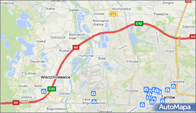 mapa Biała gmina Tarnów, Biała gmina Tarnów na mapie Targeo