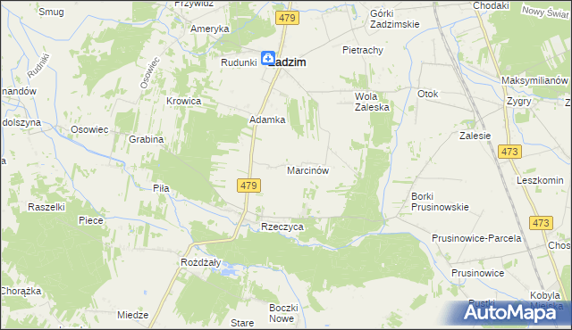 mapa Marcinów gmina Zadzim, Marcinów gmina Zadzim na mapie Targeo