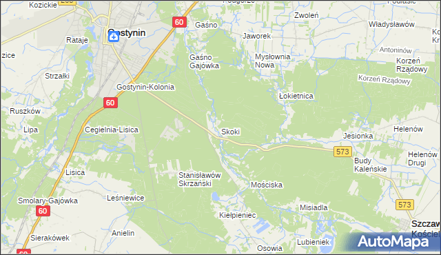 mapa Skoki gmina Gostynin, Skoki gmina Gostynin na mapie Targeo