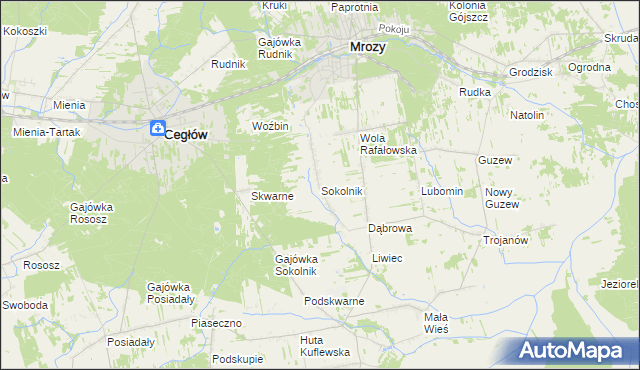 mapa Sokolnik gmina Mrozy, Sokolnik gmina Mrozy na mapie Targeo