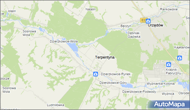 mapa Terpentyna, Terpentyna na mapie Targeo