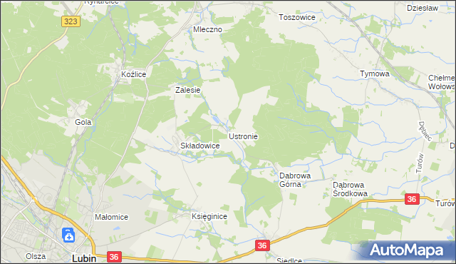 mapa Ustronie gmina Lubin, Ustronie gmina Lubin na mapie Targeo