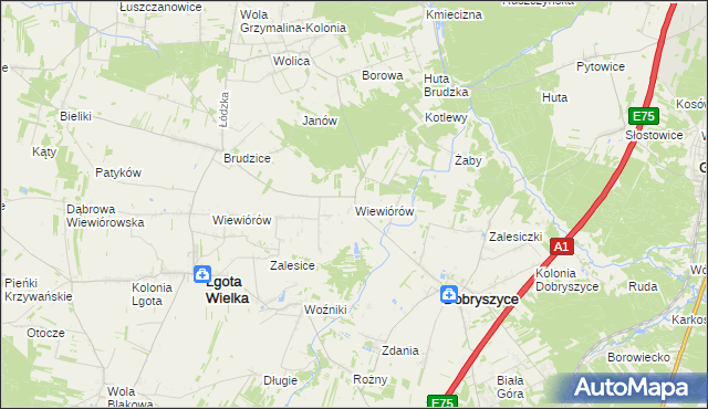 mapa Wiewiórów gmina Dobryszyce, Wiewiórów gmina Dobryszyce na mapie Targeo